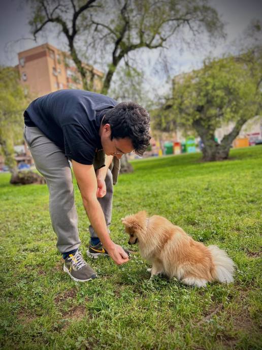 Piden que los perros puedan pasear sin correa en los parques y jardines de Cáceres en determinados horarios