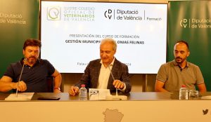 La Diputación ofrecerá formación técnica al personal de los ayuntamientos para el control de colonias felinas