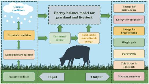 Simulación de los requerimientos nutricionales y balance energético de vacas adultas en un pastizal templado del norte