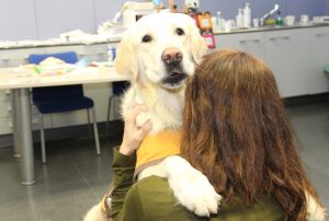 PURINA, el Hospital Clínico San Carlos y Fundación Diversión Solidaria inician un estudio científico para evaluar la mejora en pacientes adultos con trastorno de la conducta alimentaria (TCA), gracias a las Intervenciones Asistidas con Animales