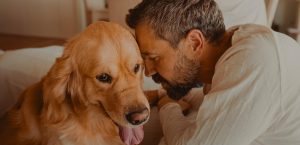 La Real Sociedad Canina pide cobertura para la cría especializada en domicilio en la Ley de Bienestar Animal para erradicar el abandono de perros 