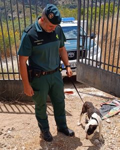 Investigada una persona por el deplorable estado de sus perros en un cortijo de Beas de Granada
