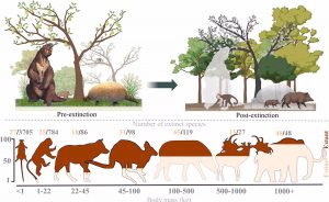 Los humanos llevaron a la extinción a los grandes mamíferos