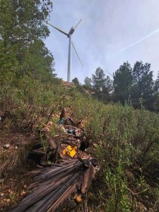 Pueyo (Sumar) pregunta al Gobierno de España por la muerte de un quebrantahuesos por un aerogenerador en el Maestrazgo