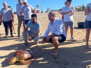 Liberadas dos tortugas marinas en la playa de las Tres Piedras de Chipiona