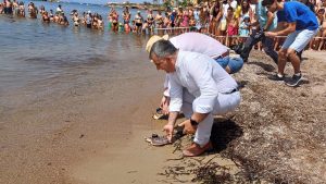 Medio Ambiente devuelve al mar otros 20 ejemplares de tortuga boba con seguimiento por satélite para estudiar sus pautas