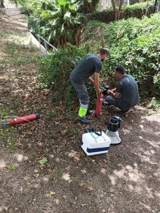Un estudio descarta la presencia de covid-19 en artrópodos vectores como garrapatas y mosquitos en la Región