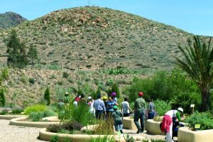 La Junta refuerza la conservación de 2.300 especies autóctonas en los once jardines botánicos andaluces