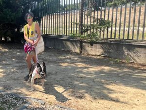 Más de 80 voluntarios se entregan a los animales en el Centro de Protección de la capital para su bienestar y adaptación