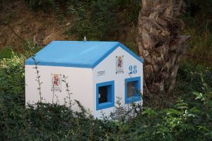 El Ayuntamiento de Cartagena presenta un programa para controlar las colonias felinas