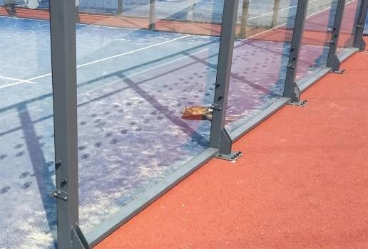 El apoyo de Caixabank permite a GREFA costear medidas para evitar la colisión de aves en pistas de pádel segovianas