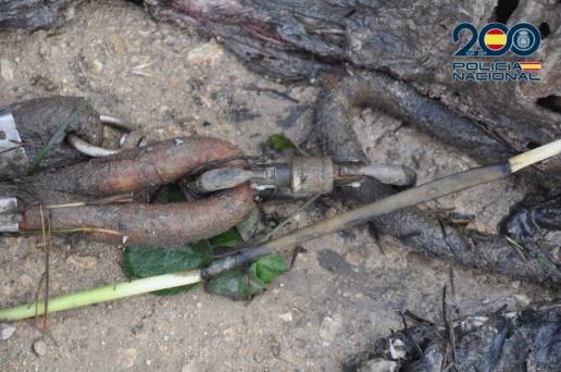 La Policía identifica a un hombre que ahogó a dos perros arrojándolos atados a una acequia