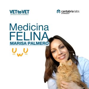 La veterinaria Marisa Palmero trata todo lo relacionado con la medicina felina en el nuevo episodio de Vet to Vet.