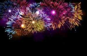 VTLP alerta que la mascletá del 8 de septiembre en Valladolid supondrá "graves perjuicios para la fauna silvestre"