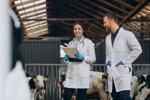 La Federación Estatal de sindicatos veterinarios (FESVET) advierte que el secuestro de los veterinarios de sanidad exterior por parte de agricultura podría acarrear la pérdida de carácter sanitario de la profesión