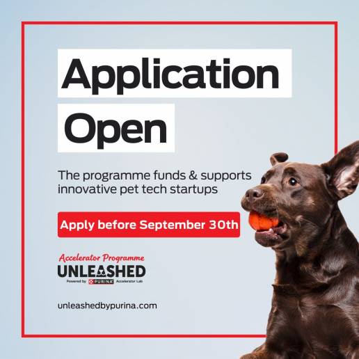 Unleashed, el programa de aceleración para startups dedicadas al cuidado de mascotas de Purina, convoca su sexta edición