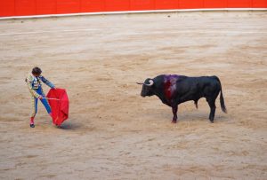 Fundación Franz Weber critica las ofertas para menores en los toros de Tomelloso y alude a las indicaciones de la ONU