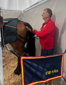 Los veterinarios olímpicos