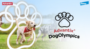 ¡Los mejores atletas no están en París, están en nuestros hogares!