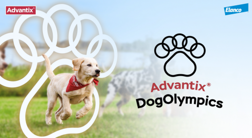 ¡Los mejores atletas no están en París, están en nuestros hogares!