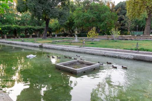  El Ayuntamiento llena el estanque de los Lotos tras las labores de limpieza para el bienestar de los animales