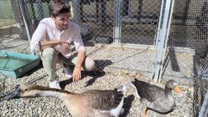 Cerca del 50% de los animales exóticos del centro municipal Avifauna encuentran una segunda oportunidad