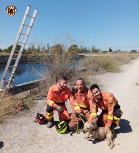  Rescatado un perro atrapado en el barranco de Carraixet