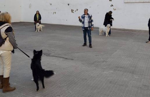 El curso de adiestramiento de perros de la Universidad Popular amplía plazas tras el éxito de la primera edición