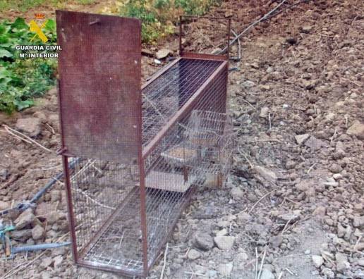 Investigado por colocar una jaula trampa para capturar animales silvestres en una finca de Castuera