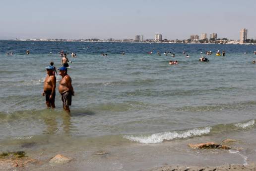 Fundación Eroski alerta de que los residuos farmacéuticos en el mar son una amenaza para los cetáceos y la salud humana