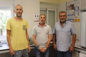 El análisis genómico confirma la singularidad del ciervo ibérico en Europa, según un estudio coordinado por la UCO