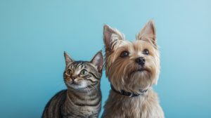 Los tutores de mascotas coinciden en que la protección frente a los parásitos es esencial para la salud de sus animales y su familia