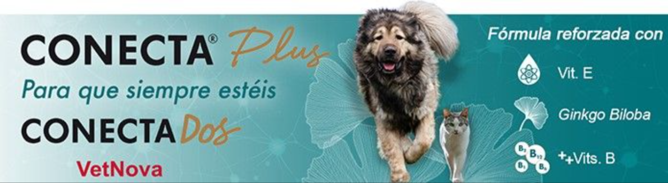 La línea neurológica de VetNova CONECTA®