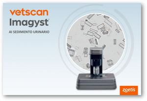 Zoetis amplía las funciones de diagnóstico de la plataforma Vetscan Imagyst® con análisis del sedimento urinario basado en IA*