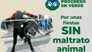 Progreso Verde exige la abolición del 'correbou' de Fornalutx, un "acto de maltrato y explotación animal"