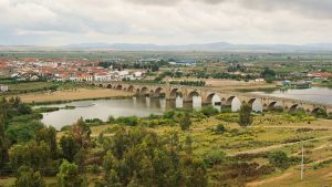 SEO/BirdLife pide el uso de soluciones naturales para el "control eficaz" del mosquito tigre en Extremadura