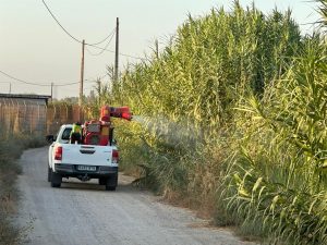 Fumigación con adulticida contra los mosquitos en Torre de la Reina tras el primer caso de Guillena