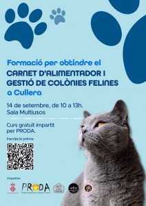 Cullera (Valencia) crea un carné de alimentadores de colonias felinas para aumentar el control y bienestar de los gatos