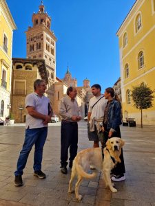 Teruel abre un proceso de participación ciudadana para determinar las zonas en las que los perros puedan ir sin correa