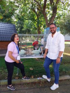 Diputación impulsa la IV Feria de Adopción con el objetivo "de reducir el número de animales abandonados"