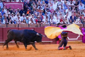 Exdirector de Derechos de los Animales pide eliminar los toros en las tv públicas en horario de protección de menores