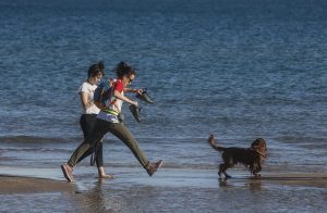 Los humanos convivían desde el Neolítico con perros pequeños que aún conservaban rasgos lobunos, según un estudio