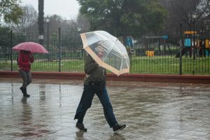 Empresas de Sanidad Ambiental prevén que lluvias y calor reactiven plagas de mosquitos y cucarachas en otoño