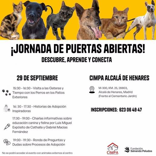 Nueva jornada de puertas abiertas en el Centro Integral de Protección Animal