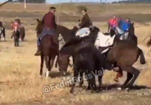 El PACMA denuncia la muerte de un caballo en el encierro de Olmedo (Valladolid)