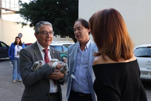 Diputación activa plan pionero en Andalucía para que los mayores adopten mascotas y mejoren su bienestar