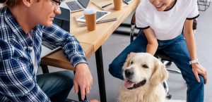 Menos estrés, más interacción y productividad:  los no tan conocidos beneficios de llevar al perro a la oficina