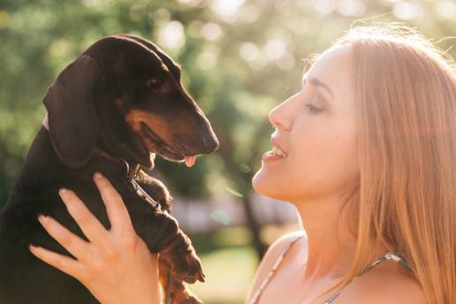 Los humanos usan voces específicas para comunicarse con los perros