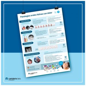 Cantabria Labs Stangest lanza un póster sobre patologías orales felinas con dolor junto a Javier Cucurella