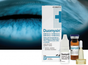 Dômes Pharma lanza Duomyxin, un nuevo colirio para las infecciones oculares en perros y gatos